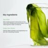 BIO DANCE - Refresh Deep Mask